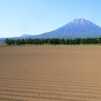 種蒔きを終えて