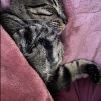 夜のお出かけ