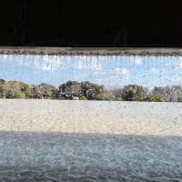 法雨を濯ぐお香