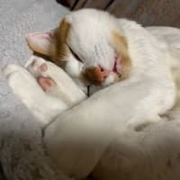 求めなければ、与えられない😅
