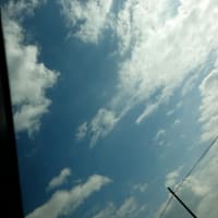 おはようございます。