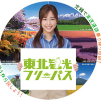 東北観光フリーパス。