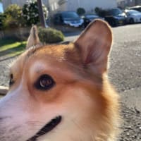 入院していました