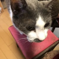 温泉へ行きました。