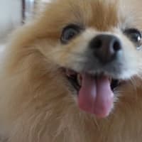 ついさわってしまうのよね(^_^;)