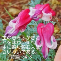 クロノスとカイロス