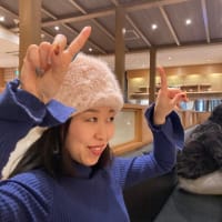オスがカブトムシで、