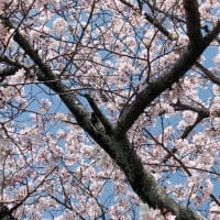 こんにちは