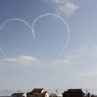 北に向かって・ちょこっとお出かけ（８日目）ブルーインパルス