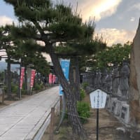 烏（黒）・蓼（赤）・白鷺（白）