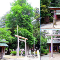 相模国の延喜式内社十三社の内の一社「深見神社」