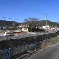 桜の記憶（リニア中央新幹線長野県駅予定地）