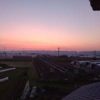散歩の景色