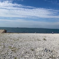 17.何度も思い出す