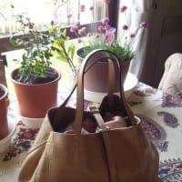 孫から