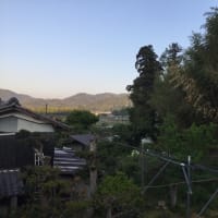 引き寄せの法則こんな感じ？　住居のこと　猫のこと