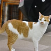 「ねころび」にて26