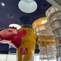 GWは茨城へ(アクアワールド水族館①)