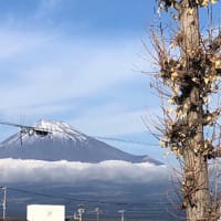 あけましておめでとうございます