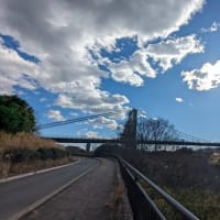 篠窪（しのくぼ）の隣町 風の吊り橋へプラタナスに会いに行く(2024/05/31）