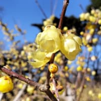 今日いち-2025年1月30日