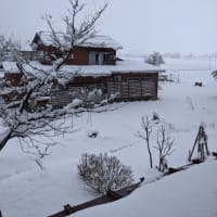 雪景色
