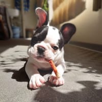 カートから落下！