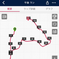 ランニング15km 25.6.4(水)