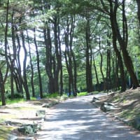 横浜海の公園散策