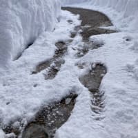 大雪