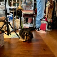 ハワイに行ってからリハーサル