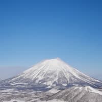 今朝は冷えました