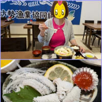 そうだ 白鷺鱧、🍴食べに行こう。