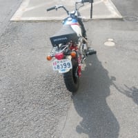 春が来ましたね～