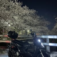 BWS125 1型（縦目）増車