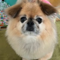 病院の為に