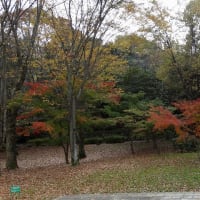 06/20奈良京都への旅--8（明日香村③：水落遺跡、明日香村埋蔵物展示室、甘樫丘）