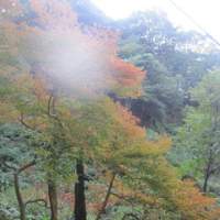 今日の心模様〈喉もと過ぎれば、、なんとやら)