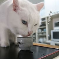 一杯飲み屋