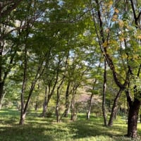 入園無料