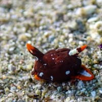 6/7,8の海ログ