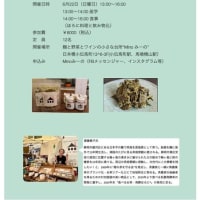 お茶セミナーと発酵ランチの会　6/22　参加者募集！