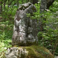 山の寺（アジサイ）
