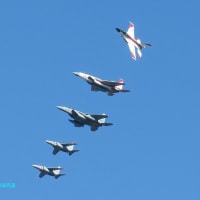 【防衛情報】アメリカ空軍Ａ－１０攻撃機１６２機全退役,エジプト空軍F-16戦闘機後継J-10C戦闘機選択肢