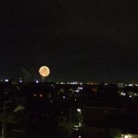 花火の音