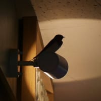 ツバメの巣