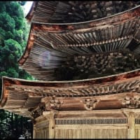 「安楽寺」の 国宝八角三重塔