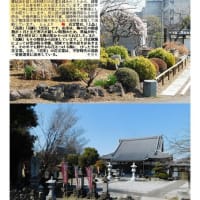 花巡り「梅－374」 久喜　常楽寺