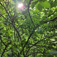 2025年鹿児島での栗本さんの個人指導について