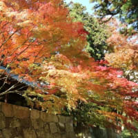 昌禅寺（長野市上松）紅葉探訪
